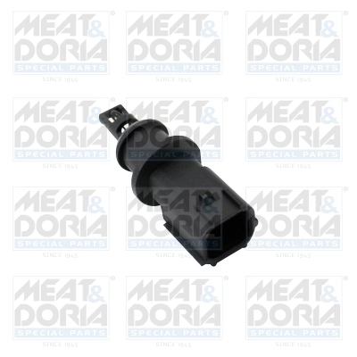Sensor, intake air temperature